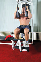 Image showing Strong  man work out in gym