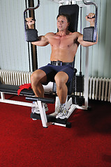 Image showing Strong  man work out in gym