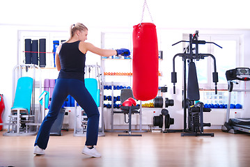 Image showing .female boxer