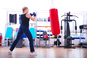 Image showing .female boxer