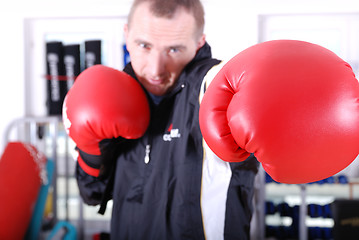 Image showing .boxer
