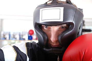 Image showing .boxer face closeup