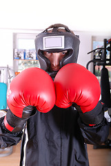 Image showing .boxer face closeup