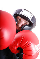 Image showing .boxer face closeup