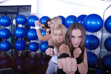 Image showing fighter girls