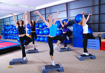 Image showing girls stepping in a fitness center