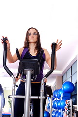 Image showing Women working out on spinning bikes at the gym 