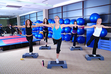 Image showing girls stepping in a fitness center