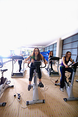 Image showing Women working out on spinning bikes at the gym 