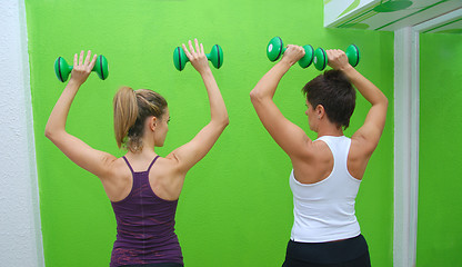 Image showing fitness training with dumbbell 