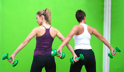 Image showing fitness training with dumbbell 