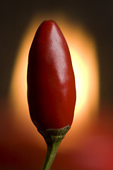 Image showing chili