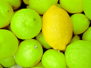 Image showing special lemon