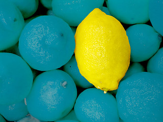 Image showing special lemon