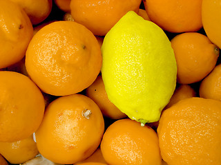 Image showing special lemon