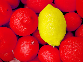 Image showing special lemon