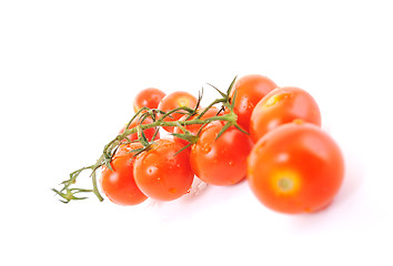 Image showing tomato isolated 
