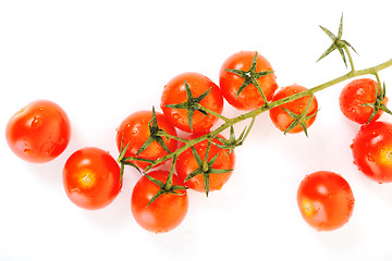 Image showing tomato isolated 