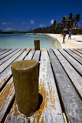 Image showing isla contoy mexico,the harbor