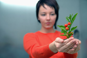 Image showing Beautiful  girl holding young plant