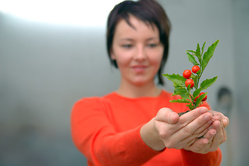 Image showing Beautiful  girl holding young plant