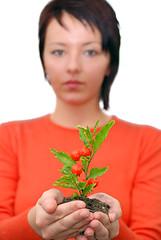 Image showing Beautiful  girl holding young plant