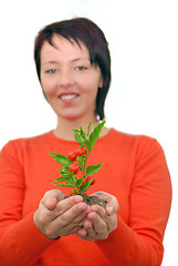 Image showing Beautiful  girl holding young plant