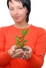 Image showing Beautiful  girl holding young plant