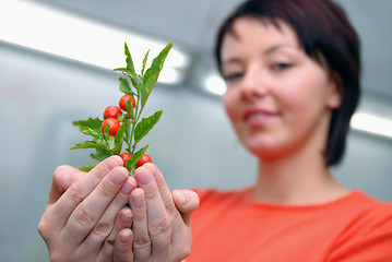 Image showing Beautiful  girl holding young plant