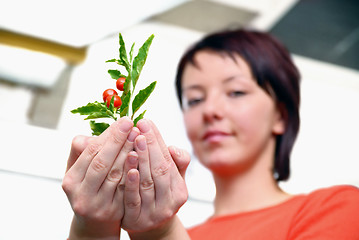 Image showing Beautiful  girl holding young plant