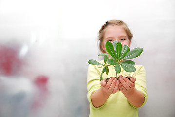 Image showing little girl holding small plant