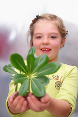 Image showing little girl holding small plant