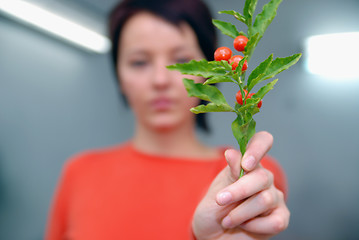 Image showing Beautiful  girl holding young plant