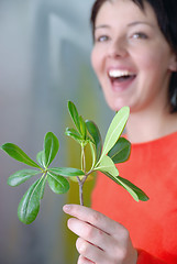 Image showing Beautiful  girl holding young plant