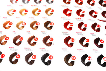 Image showing hair colors sample