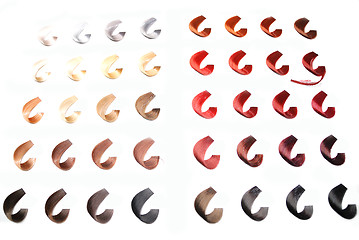 Image showing hair colors sample