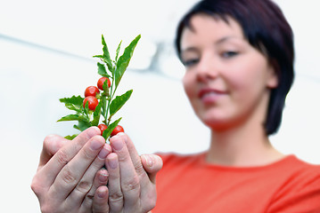 Image showing Beautiful  girl holding young plant