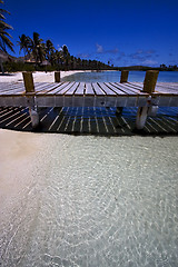 Image showing mexico harbor in isla contoy