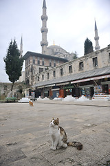 Image showing turkey istambul mosque