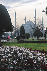 Image showing turkey istambul mosque