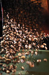 Image showing coffee