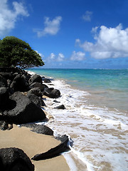 Image showing Windward Shoreline