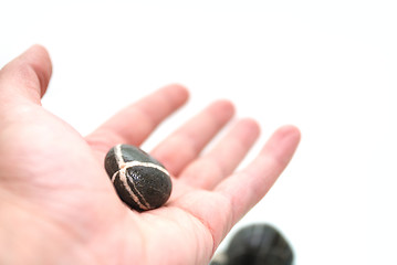 Image showing .zen stones in palm 