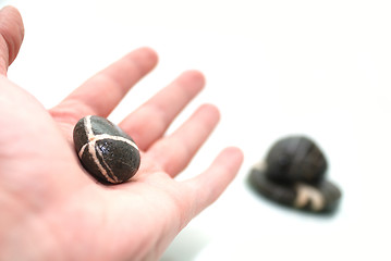 Image showing .zen stones in palm 