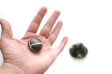 Image showing .zen stones in palm 