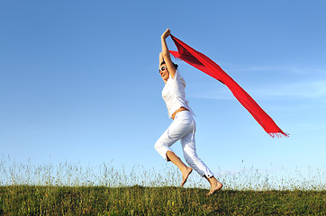 Image showing woman meadow scarf 