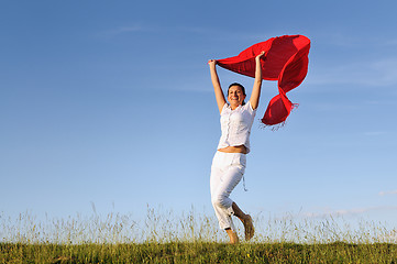 Image showing woman meadow scarf 