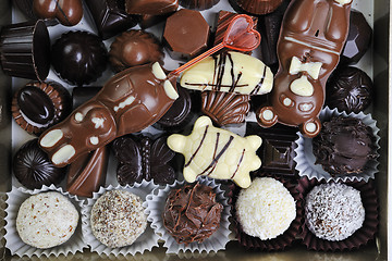 Image showing chocolate and praline