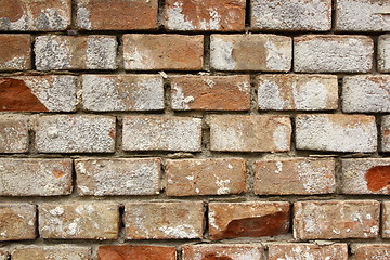 Image showing old bricks pattern