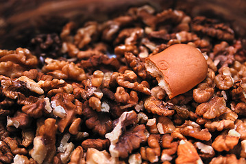 Image showing Shreddered nuts and half of a cookie